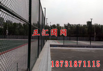 山东省招远市体育公园球场围网安装工程